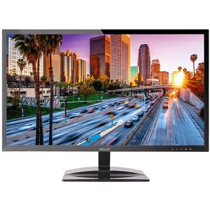 SPECIAL IP 24" LED Backlit 1080p Monitor